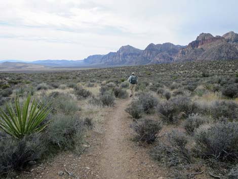 Grand Circle Trail