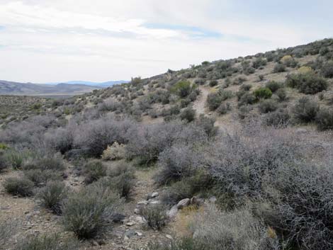 Grand Circle Trail