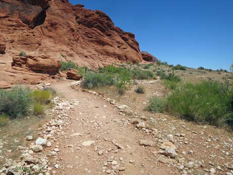 Girl Scout Trail