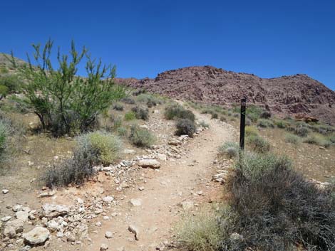 Girl Scout Trail