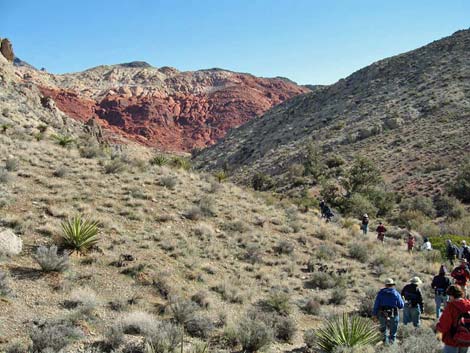 Gray Cap Peak Route