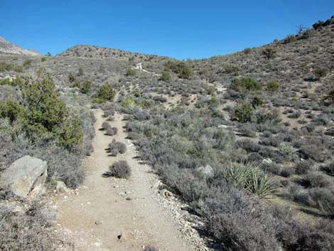 Keystone Thrust Trail