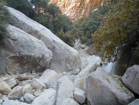 Ice Box Canyon