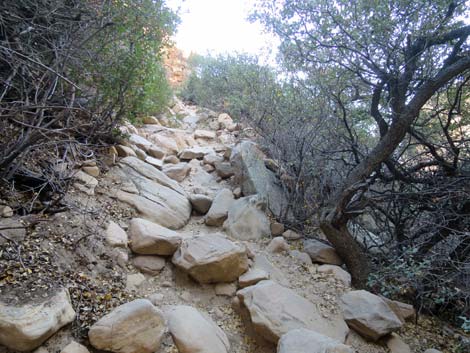 Ice Box Canyon