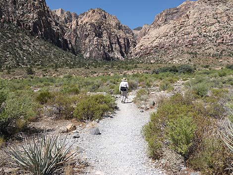 Ice Box Canyon