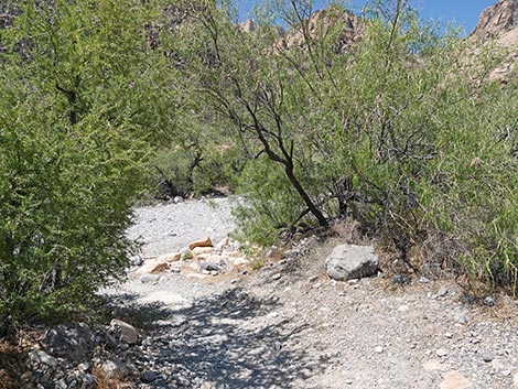 Ice Box Canyon