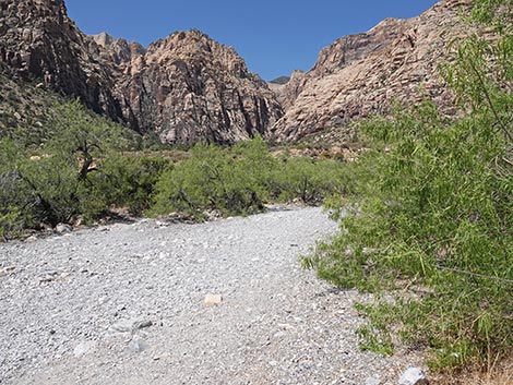 Ice Box Canyon