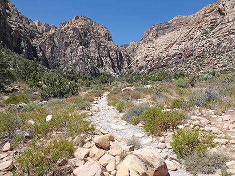 Ice Box Canyon