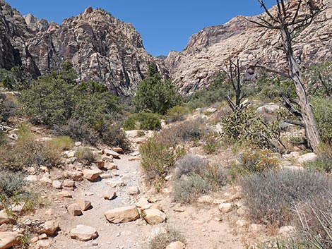 Ice Box Canyon