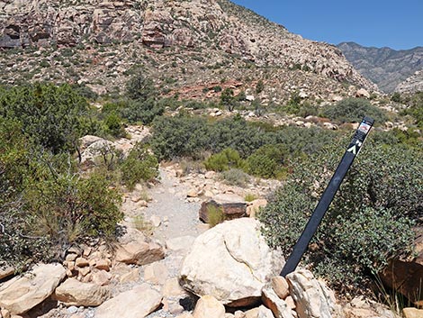 Ice Box Canyon