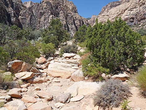 Ice Box Canyon