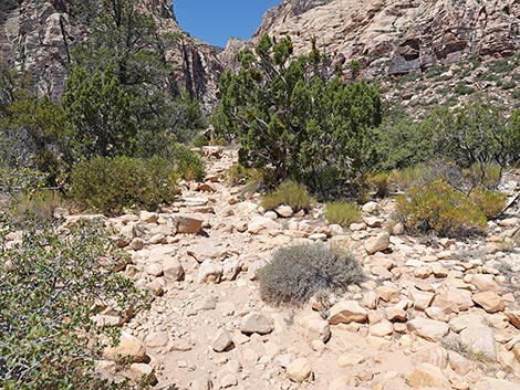 Ice Box Canyon