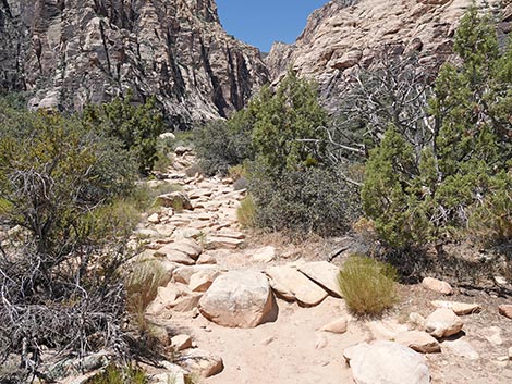 Ice Box Canyon