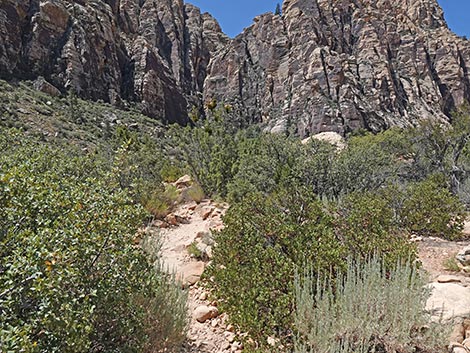 Ice Box Canyon