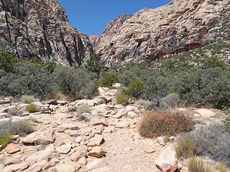 Ice Box Canyon