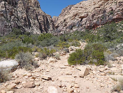Ice Box Canyon