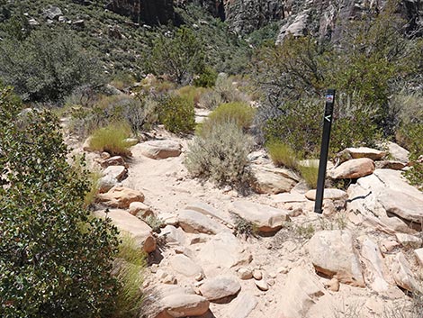 Ice Box Canyon
