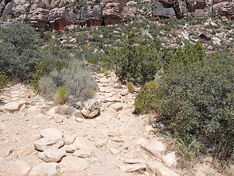 Ice Box Canyon