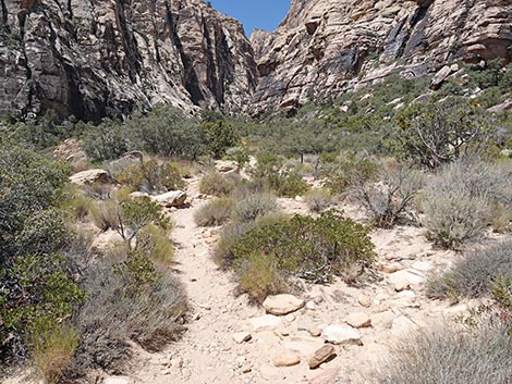 Ice Box Canyon