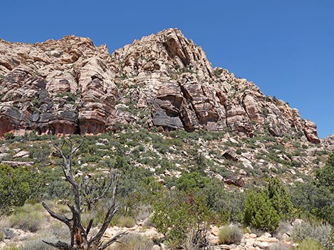 Ice Box Canyon