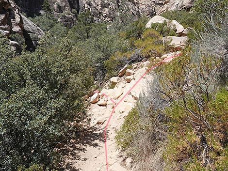 Ice Box Canyon
