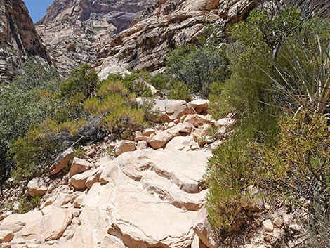 Ice Box Canyon