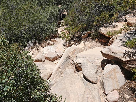 Ice Box Canyon