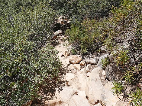 Ice Box Canyon