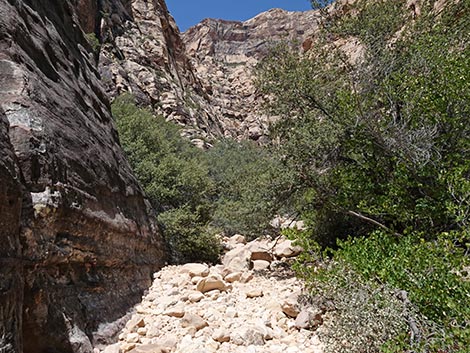 Ice Box Canyon