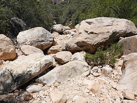 Ice Box Canyon