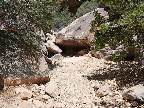 Ice Box Canyon