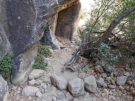 Ice Box Canyon