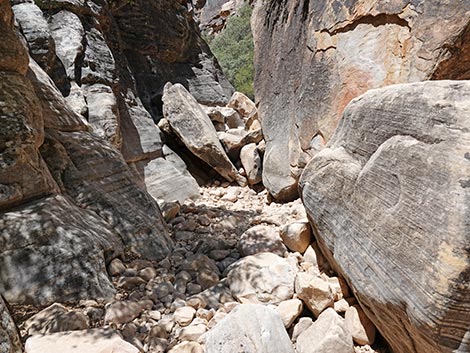 Ice Box Canyon