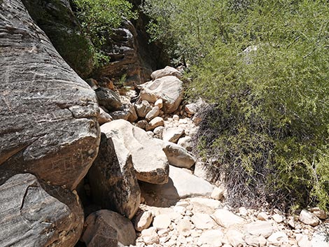 Ice Box Canyon
