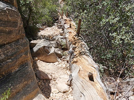 Ice Box Canyon