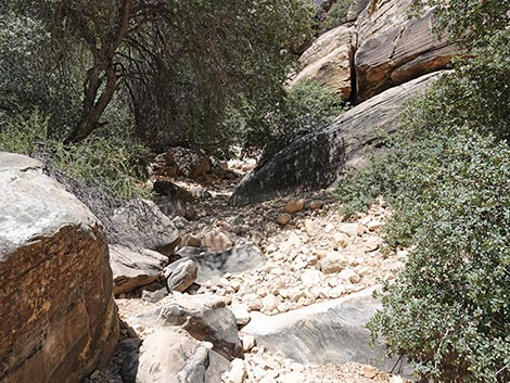Ice Box Canyon