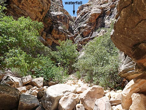 Ice Box Canyon