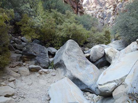 Ice Box Canyon