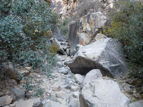 Ice Box Canyon