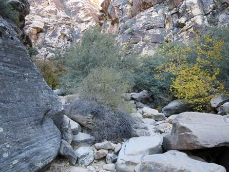 Ice Box Canyon