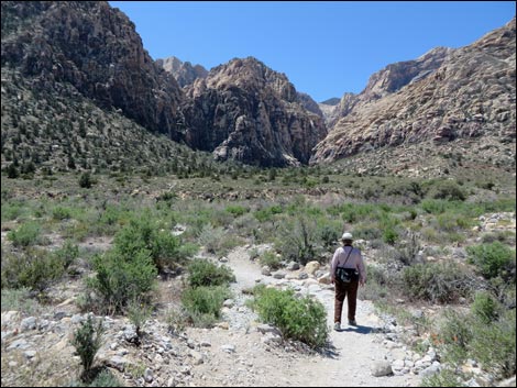 Icebox Canyon