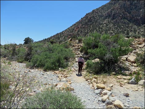 Icebox Canyon