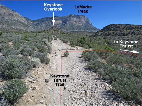 Keystone Thrust