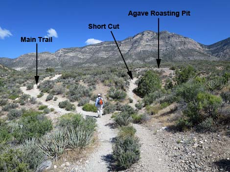 Keystone Thrust