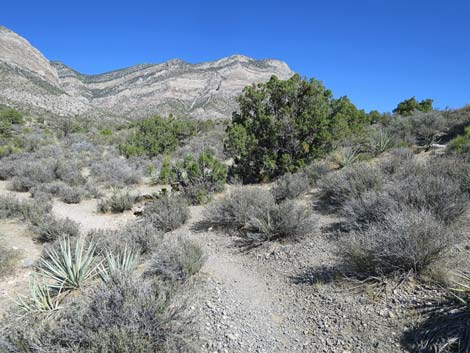 Keystone Basin Overlook