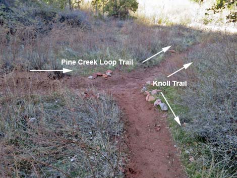 Knoll Trail