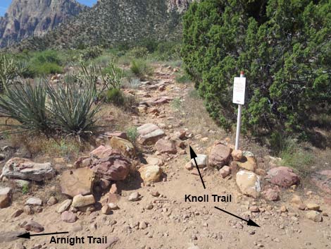 Knoll Trail