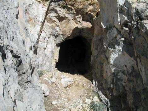 La Madre Miner's Cabin