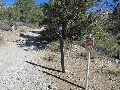 White Rock Loop Trail