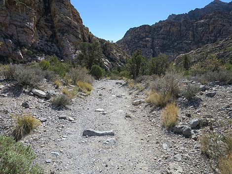 White Rock Loop Trail